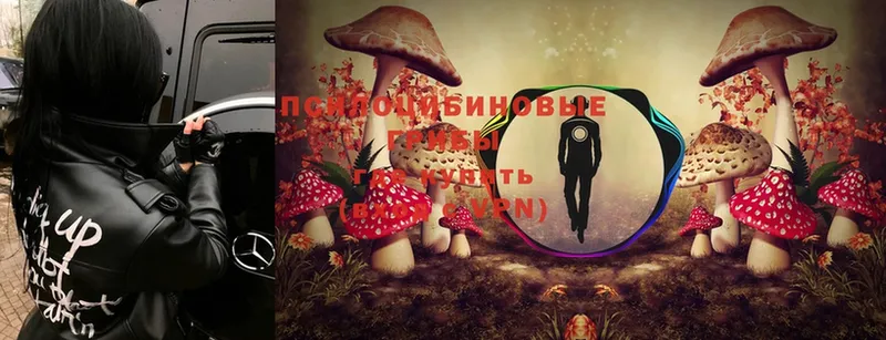 купить   нарко площадка какой сайт  Галлюциногенные грибы Cubensis  Комсомольск-на-Амуре 